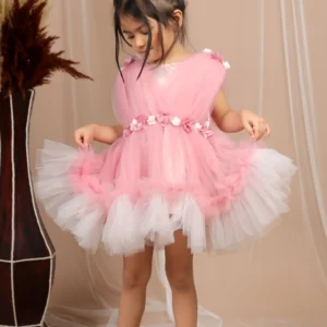 Tutu Pink Dress